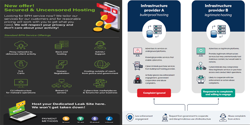 bullet proof web hosting